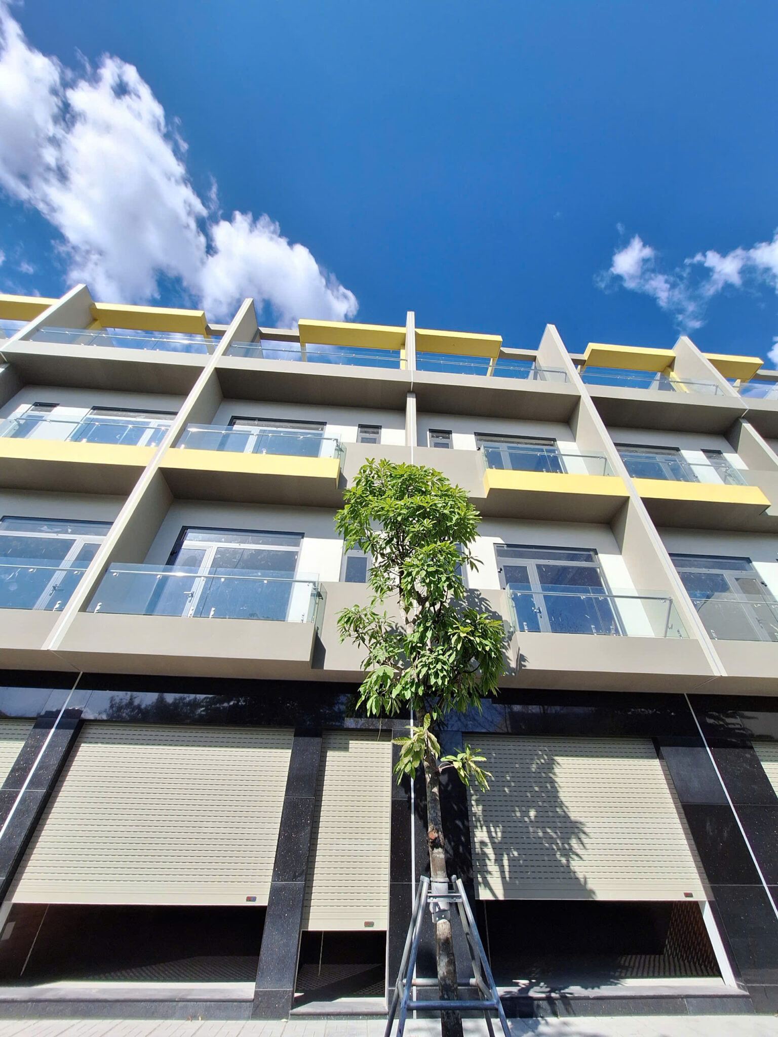 z6234748547585_a462402c5692bdb8ec4470c7d31e162f-1536x2048